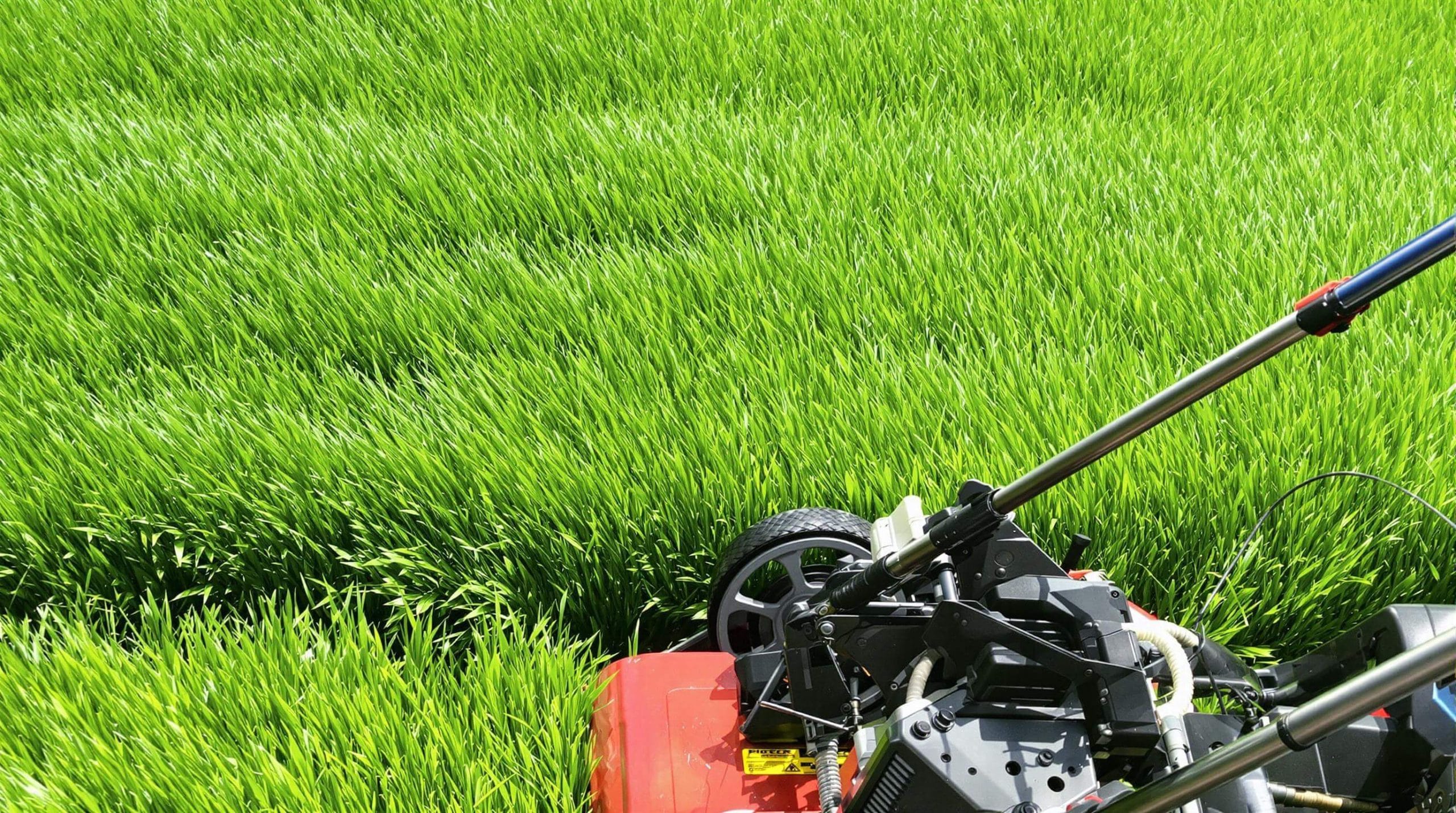 tondeuse hélicoidale